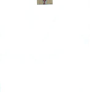 picture 1